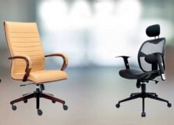 director chair
